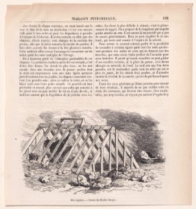 Mue anglaise; from Magasin Pittoresque Met DP888854