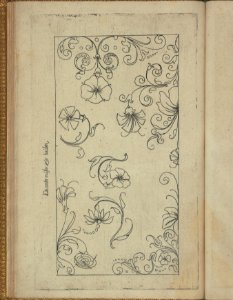 New Modelbüch (Page 47v) MET DP351472