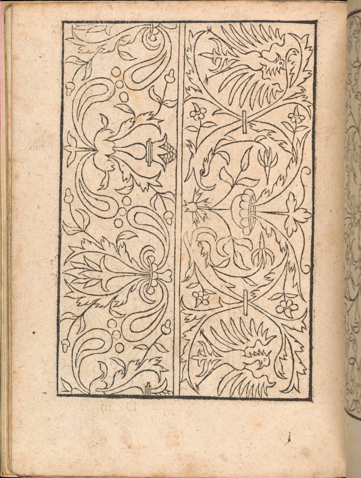 New Modelbüch allen Nägerin u. Sydenstickern (Page 15v) MET DP356571