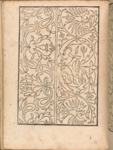 New Modelbüch allen Nägerin u. Sydenstickern (Page 15v) MET DP356571