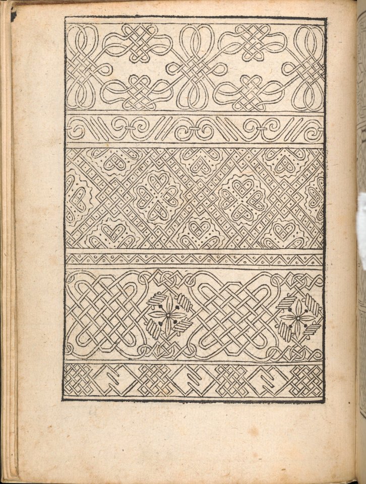 New Modelbüch allen Nägerin u. Sydenstickern (Page 5v) MET DP356551
