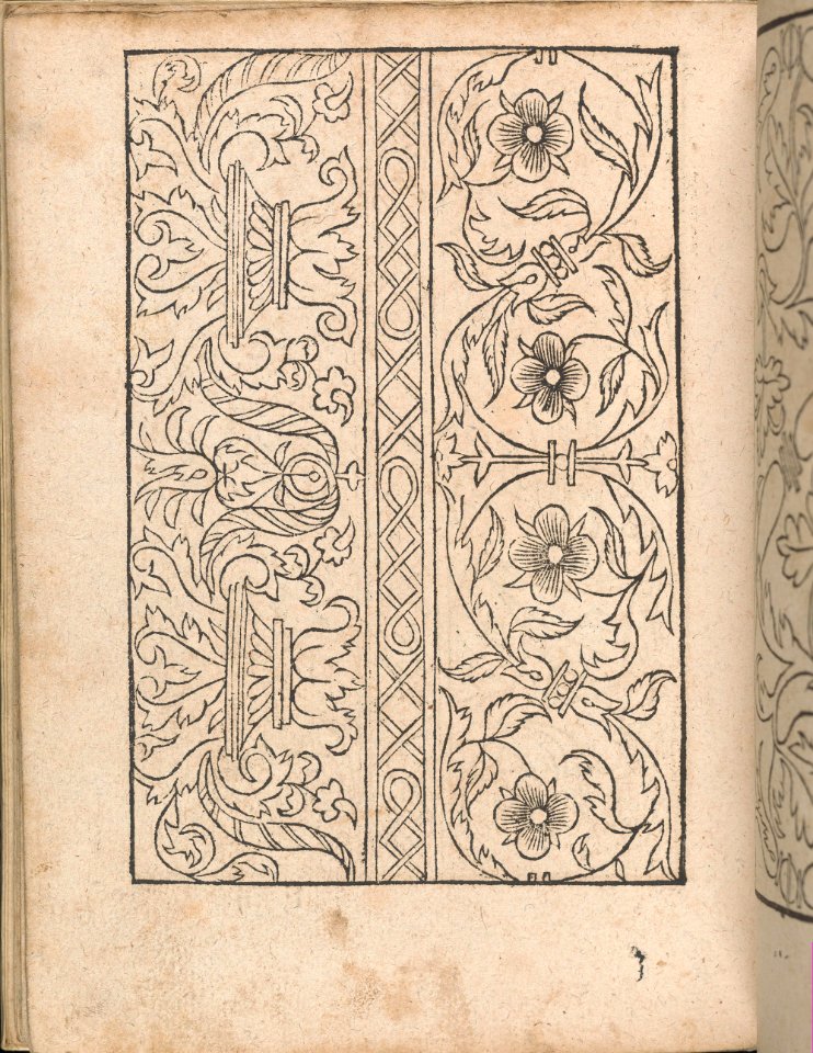 New Modelbüch allen Nägerin u. Sydenstickern (Page 23v) MET DP356587