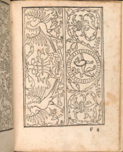 New Modelbüch allen Nägerin u. Sydenstickern (Page 22r) MET DP356584