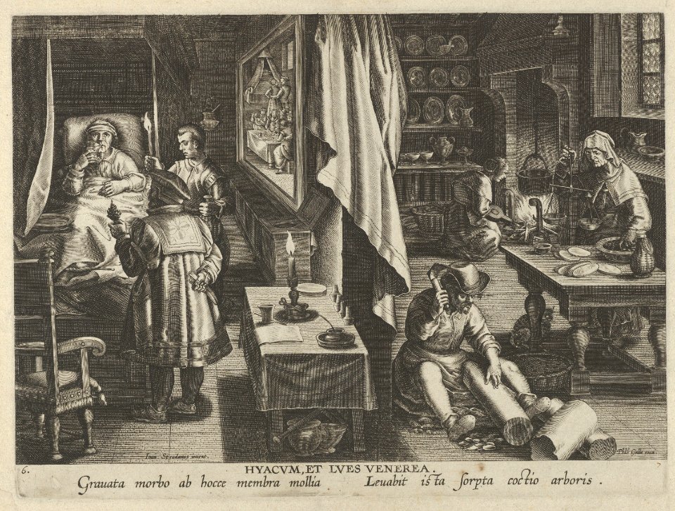 New Inventions of Modern Times -Nova Reperta-, The Discovery of Guaicum as a Cure for Veneral Infection, plate 6 MET DP841125