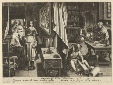 New Inventions of Modern Times -Nova Reperta-, The Discovery of Guaicum as a Cure for Veneral Infection, plate 6 MET DP841125