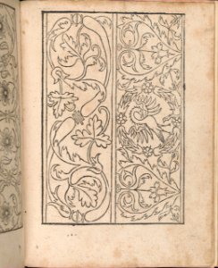 New Modelbüch allen Nägerin u. Sydenstickern (Page 24r) MET DP356588