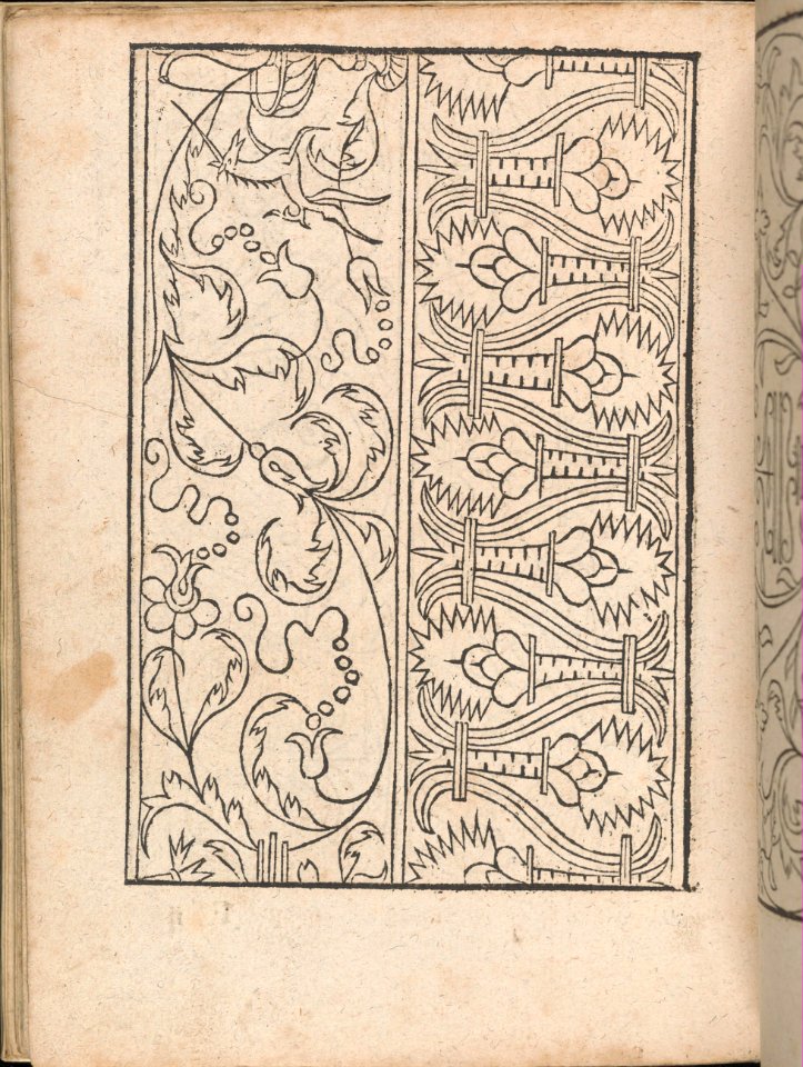 New Modelbüch allen Nägerin u. Sydenstickern (Page 22v) MET DP356585