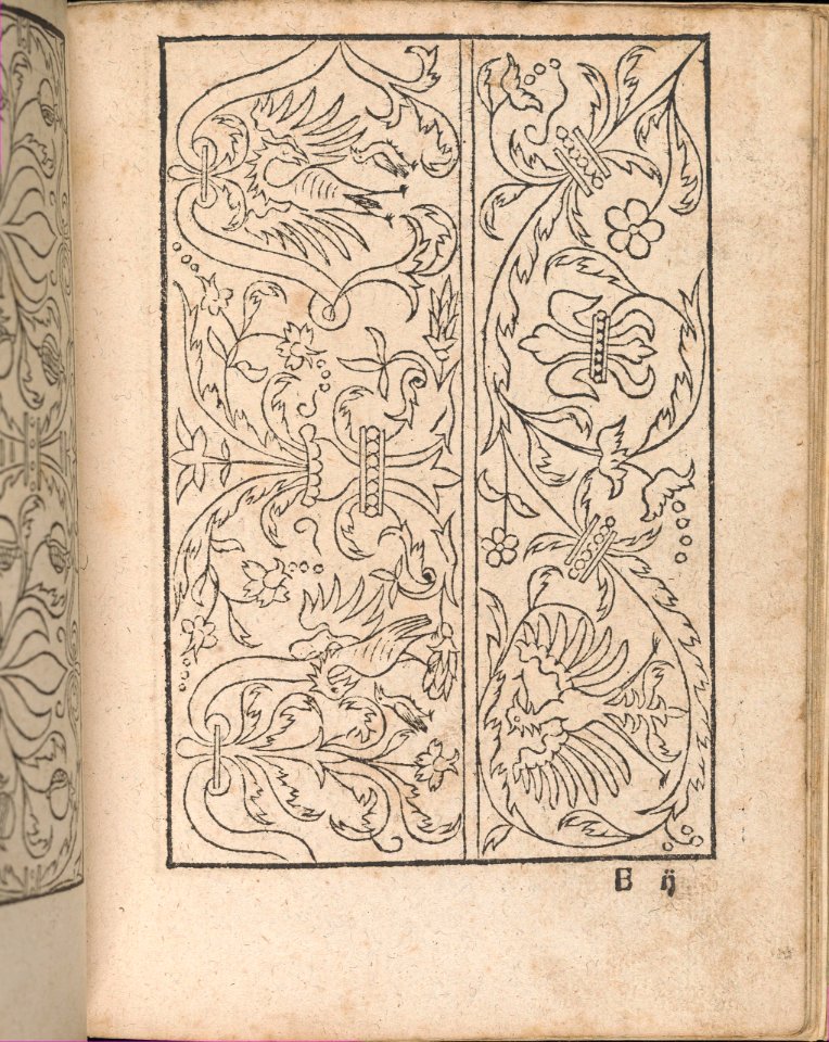 New Modelbüch allen Nägerin u. Sydenstickern (Page 18r) MET DP356576