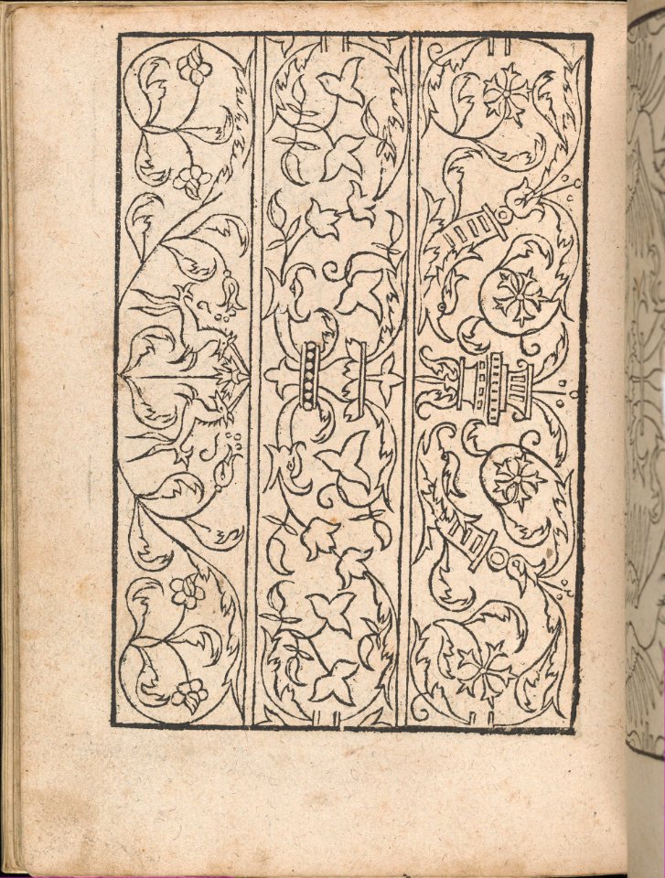 New Modelbüch allen Nägerin u. Sydenstickern (Page 21v) MET DP356583