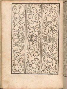 New Modelbüch allen Nägerin u. Sydenstickern (Page 21v) MET DP356583