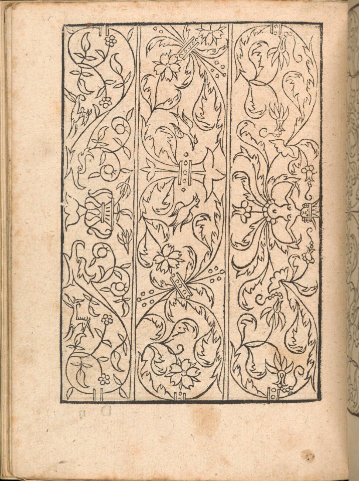 New Modelbüch allen Nägerin u. Sydenstickern (Page 14v) MET DP356569