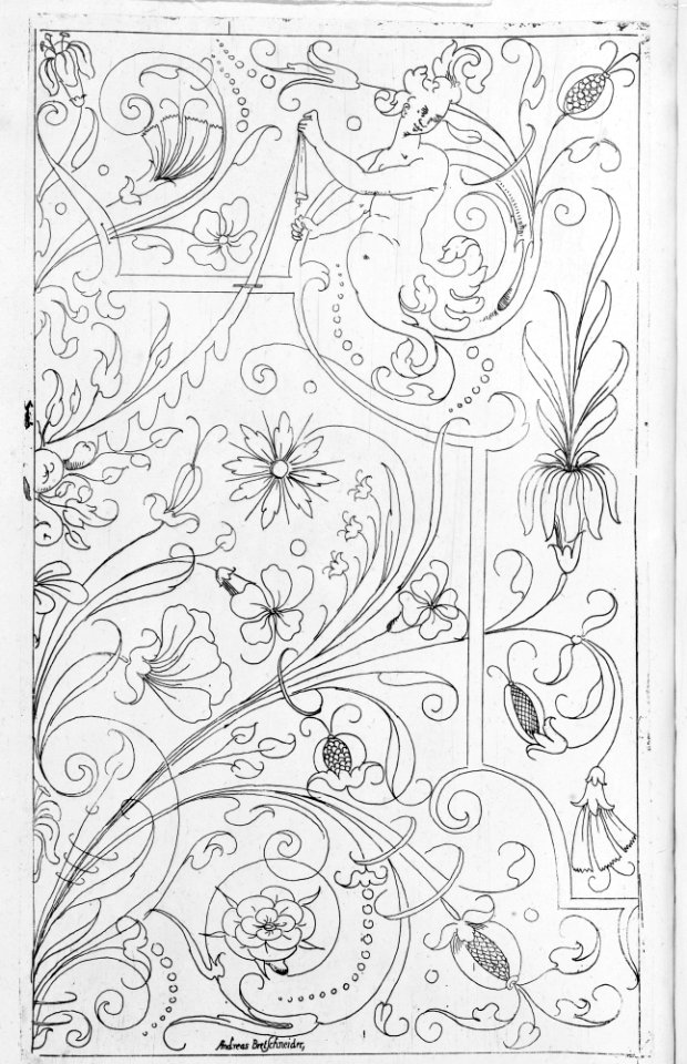 New Modelbüch (Title page, 1r) MET MM10220
