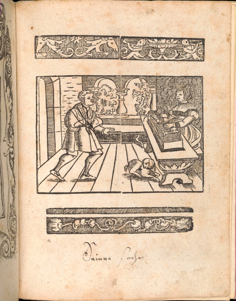 New Modelbüch allen Nägerin u. Sydenstickern (Page 28r) MET DP356596