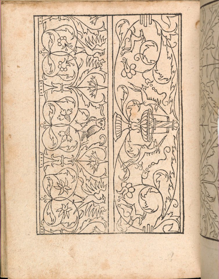 New Modelbüch allen Nägerin u. Sydenstickern (Page 24v) MET DP356589