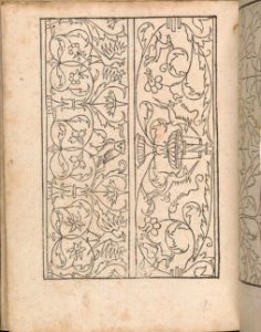 New Modelbüch allen Nägerin u. Sydenstickern (Page 24v) MET DP356589