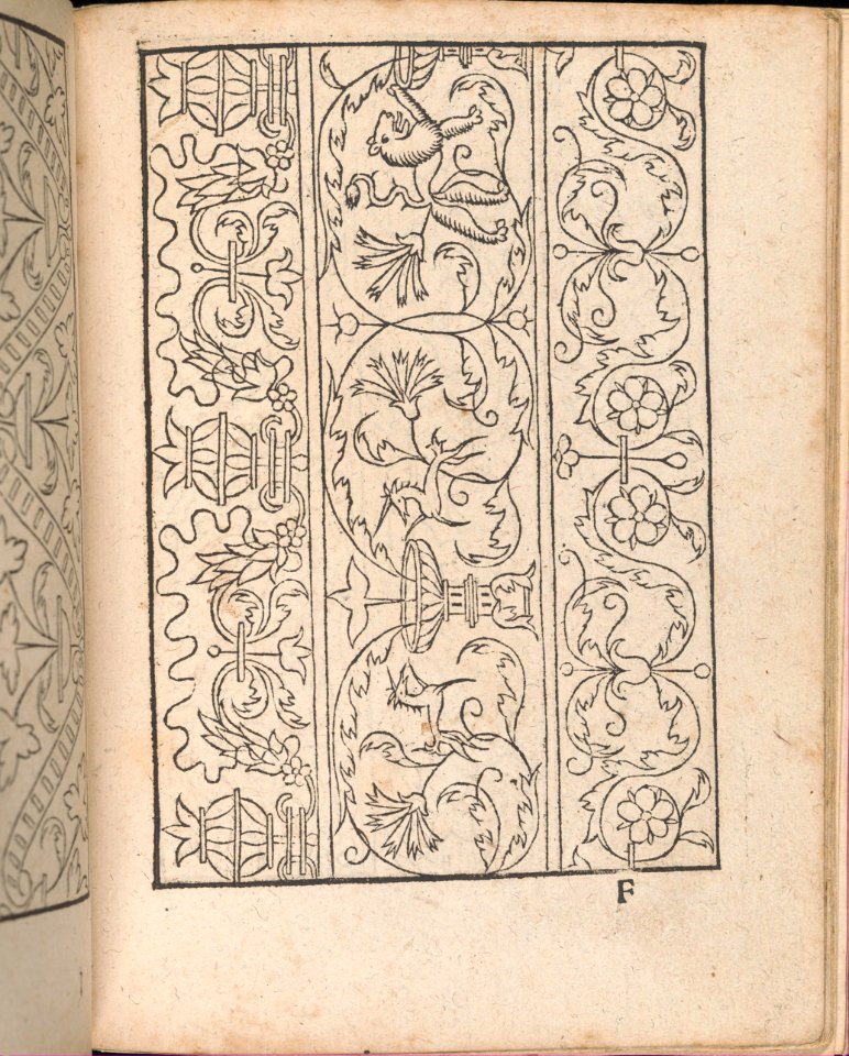 New Modelbüch allen Nägerin u. Sydenstickern (Page 21r) MET DP356582