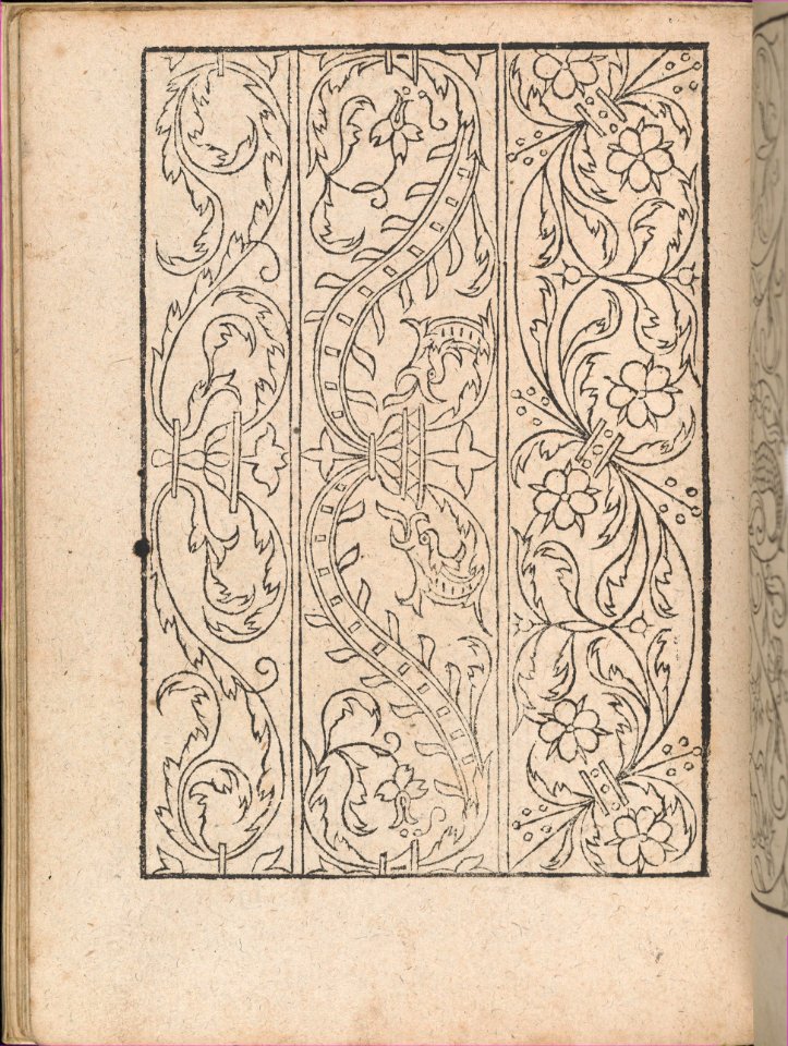 New Modelbüch allen Nägerin u. Sydenstickern (Page 19v) MET DP356579