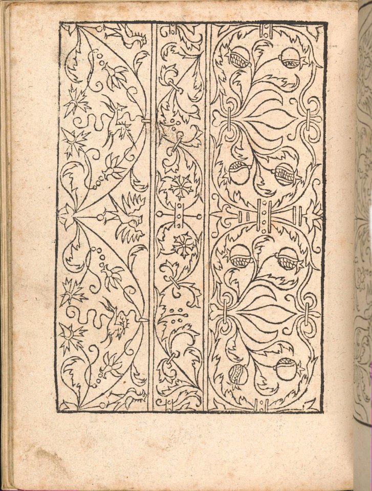New Modelbüch allen Nägerin u. Sydenstickern (Page 17v) MET DP356575
