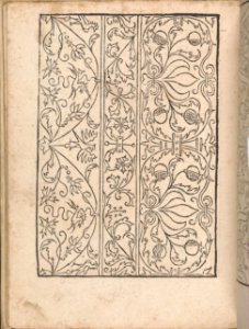 New Modelbüch allen Nägerin u. Sydenstickern (Page 17v) MET DP356575