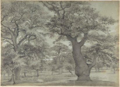 Oak Forest with a Pig MET DP800750