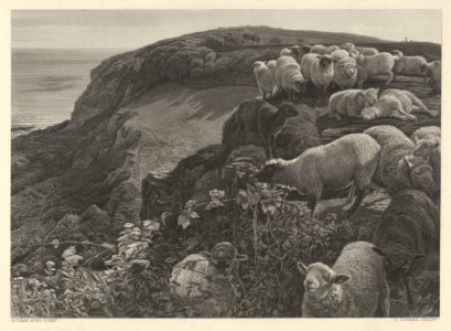On the Hill Side (Strayed Sheep) MET DP835760