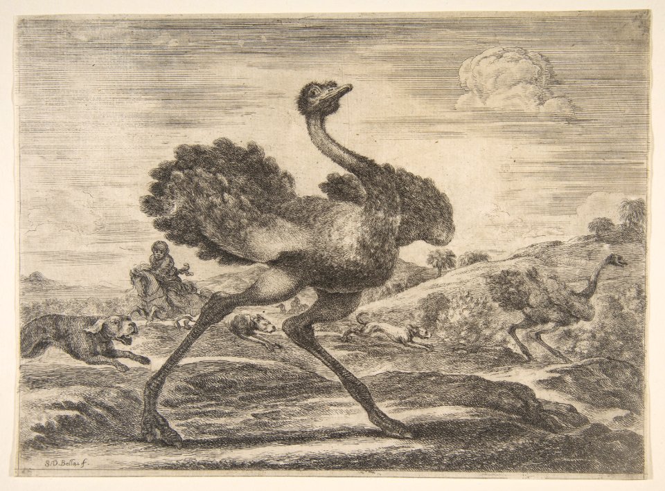Ostrich hunt, from 'Animal hunts' (Chasses à différents animaux) MET DP817808