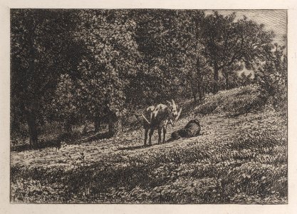 Orchard Met DP887015