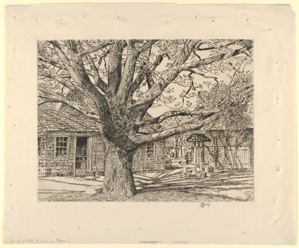 Oak and Old House in Spring MET DP836077