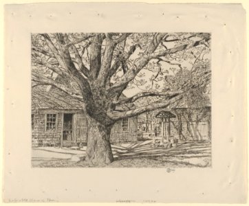 Oak and Old House in Spring MET DP836077
