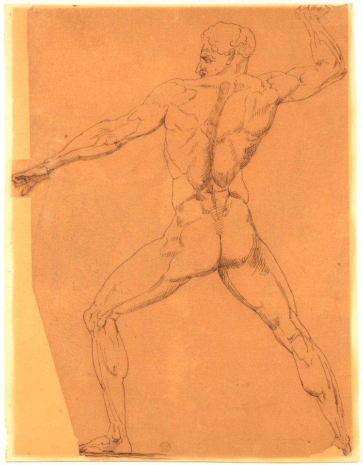 Nude Study MET DP148731