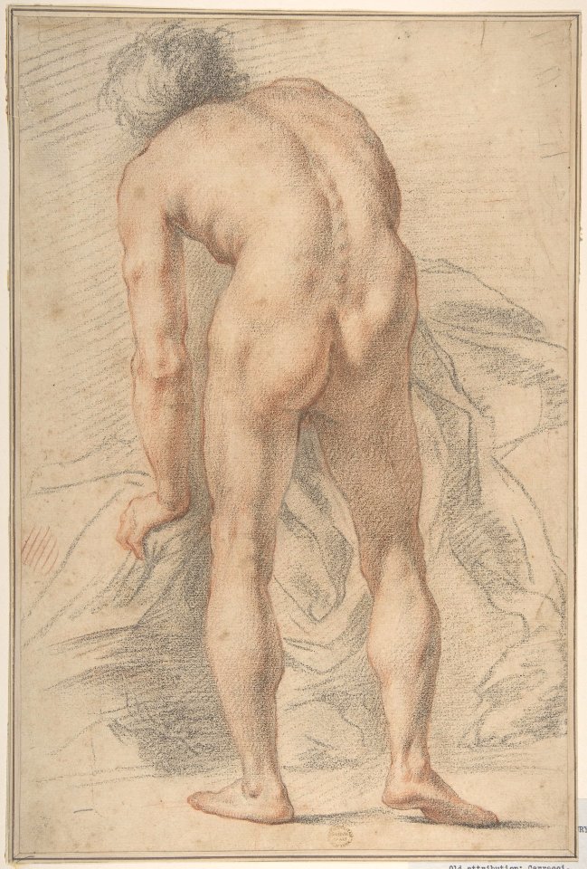 Nude Male Figure, Rear View MET DP809953