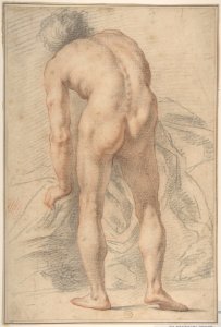 Nude Male Figure, Rear View MET DP809953