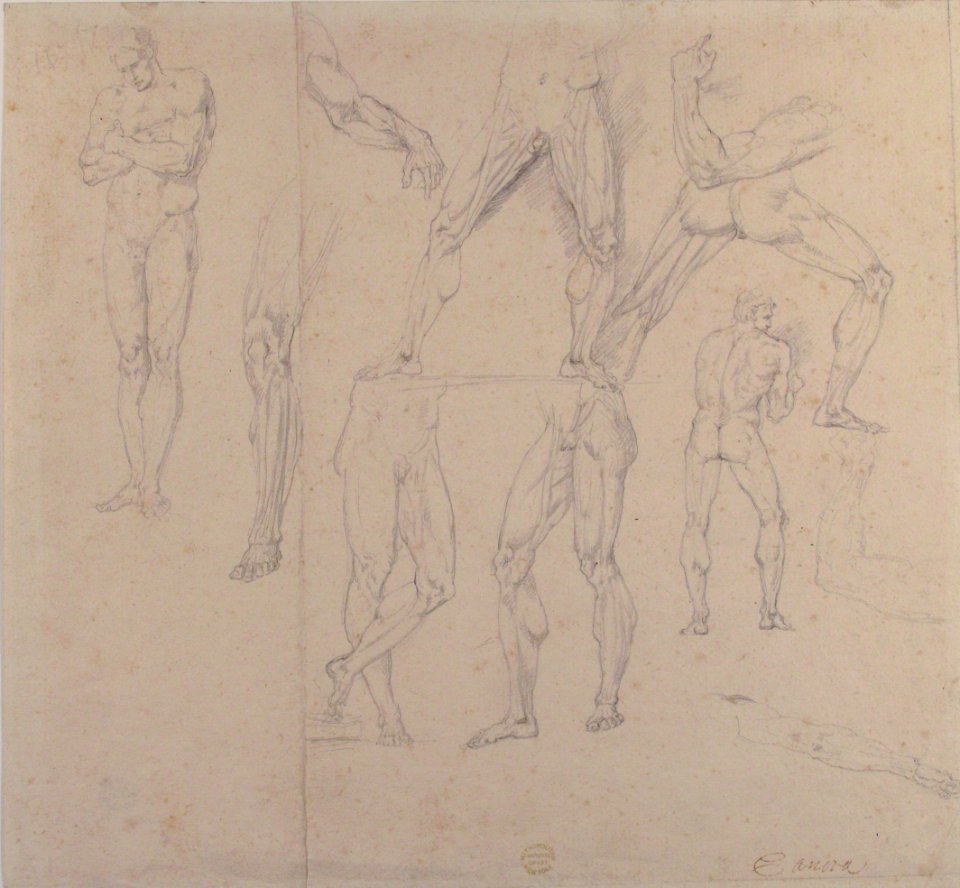 Nude Study MET 87.12.7