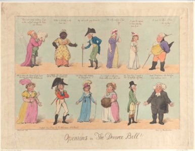 Opinions on The Divorce Bill Met DP884659