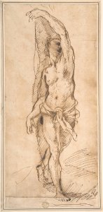 Nude Figure (Saint Sebastian?) MET DP802274