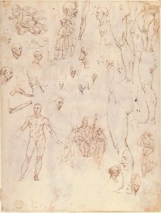 Nude Demon Encircled by a Serpent, after Michelangelo's Last Judgment; and Other Figure Studies (recto); Figure Studies (verso) MET 61.179.2 VERSO