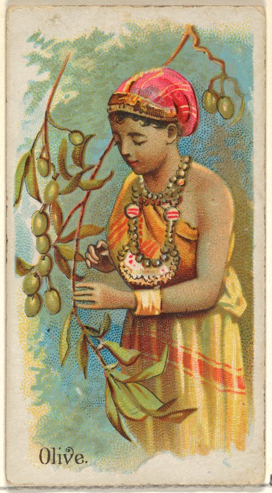 Olive, from the Fruits series (N12) for Allen & Ginter Cigarettes Brands MET DP834634