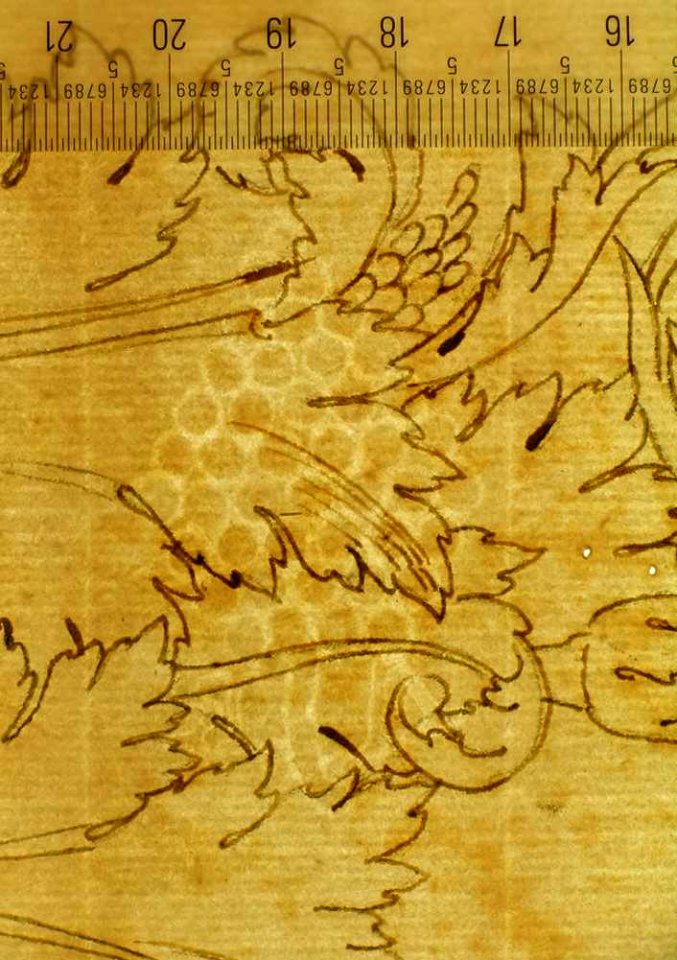 Ornamental drawings (recto) blank (verso) MET sf68 769 62-watermark