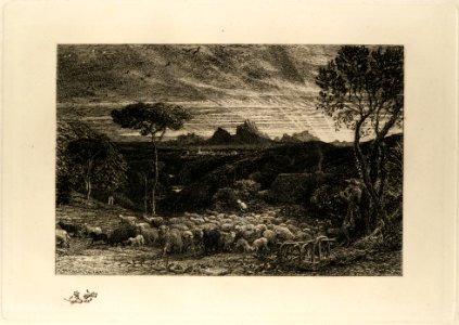 Opening the Fold, or Early Morning MET DP114123
