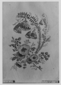 Ornament Design from Nouvelle Suite de Fleurs Idéale MET 50716