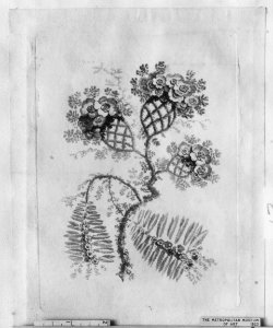 Ornament Design from Nouvelle Suite de Fleurs Idéale MET 50721