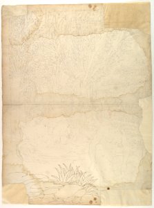 Ornamental drawing MET DP819029