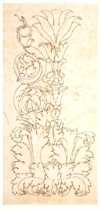 Ornamental drawings (recto) blank (verso) MET DP810797