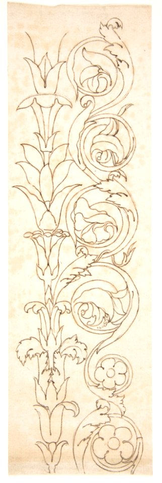 Ornamental drawings (recto) blank (verso) MET DP810795