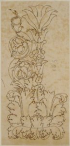 Ornamental drawings (recto) blank (verso) MET 68.769.62