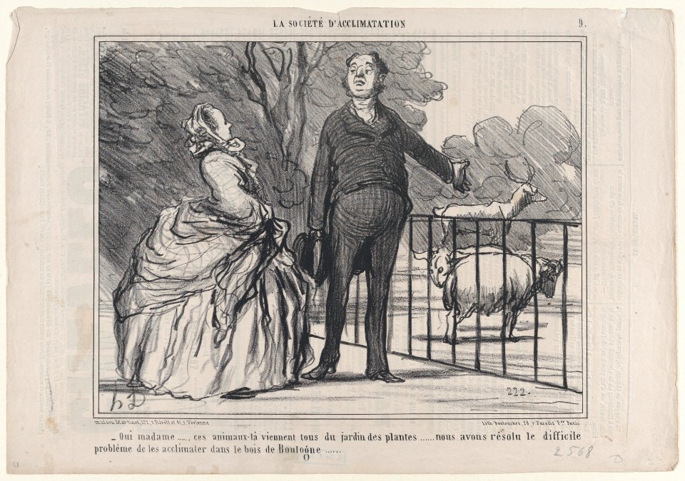 Oui madame..., ces animaux-là viennent tous du jardin des plantes..., from La Société d'Acclimatation, published in Le Charivari, September 24, 1858 MET DP876718