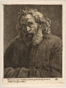 Old Man with a Long Beard MET DP818334
