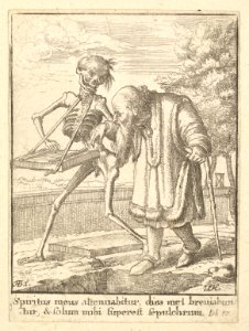 Old man, from the Dance of Death MET DP822843