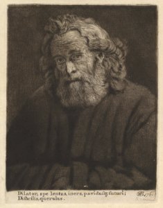Old Man With a Long Beard MET DP830218