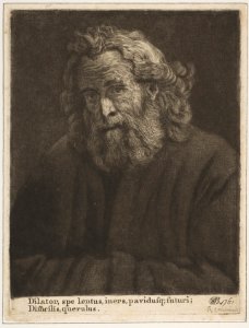 Old Man with a Long Beard MET DP818333